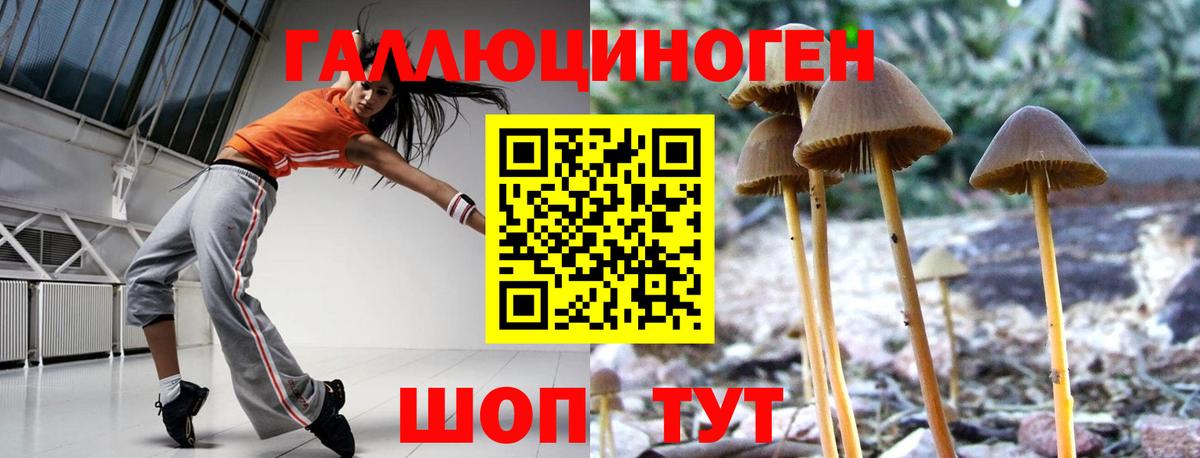 Псилоцибиновые грибы Magic Shrooms  Псилоцибиновые грибы Psilocybine cubensis  Вход с VPN  Лангепас 